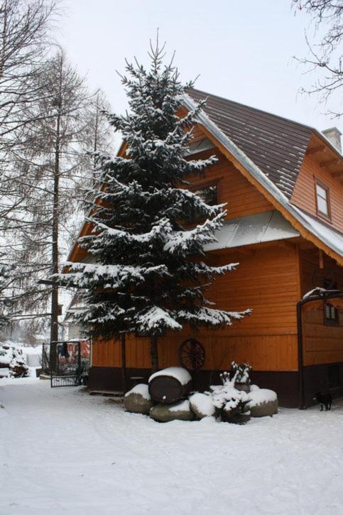 Agroturystyka U Marii Bialka Tatrzanska Exterior foto